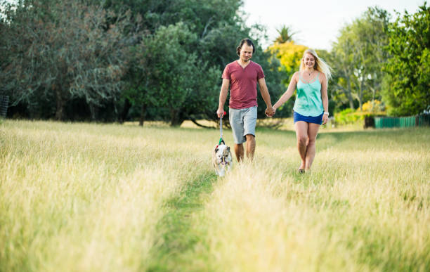 istock Couple enjoying outdoors with their dog. 914461724