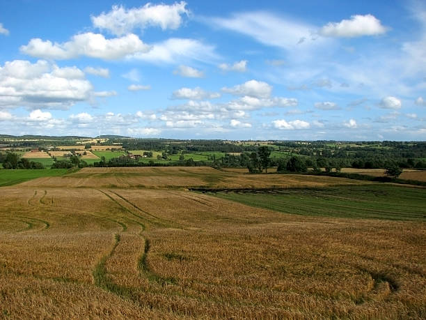 Landscape view stock photo