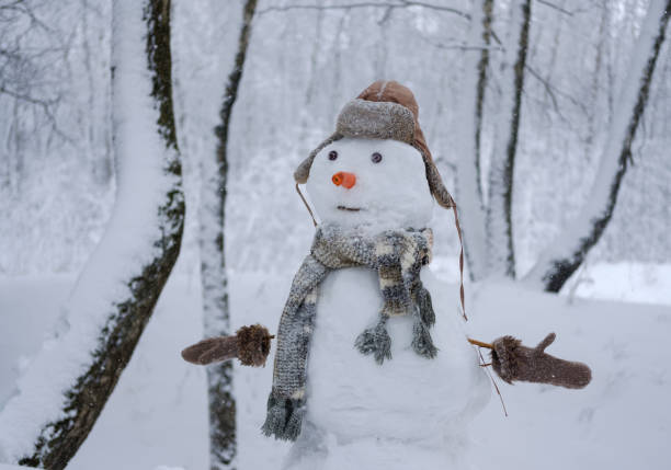 istock the funny snowman in the snowy forest 914465026