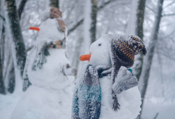 istock the funny snowman in the snowy forest 914465030
