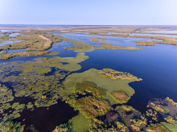 istock Danube Delta aerial view (Danube Delta) Romania 914465050