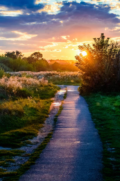 salida del sol al atardecer camino cielo - horizon landscape green tree fotografías e imágenes de stock