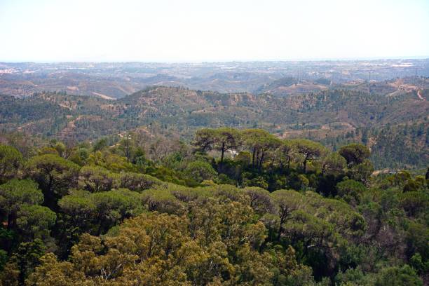 istock Monchique mountains, Portugal. 914471038