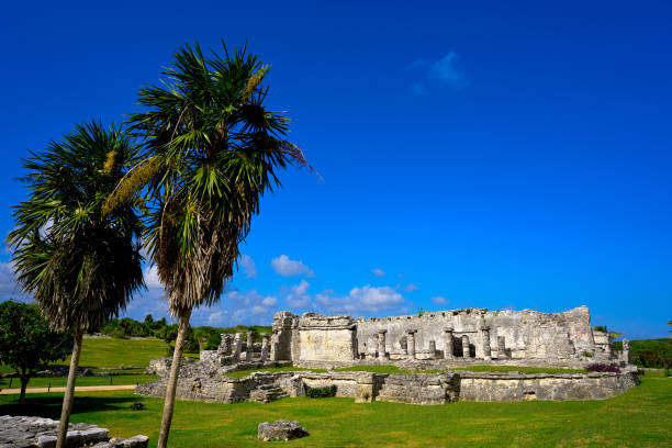 istock Tulum Mayan city ruins in Riviera Maya 914475578