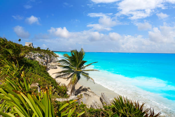 istock Tulum Mayan city ruins in Riviera Maya 914481314