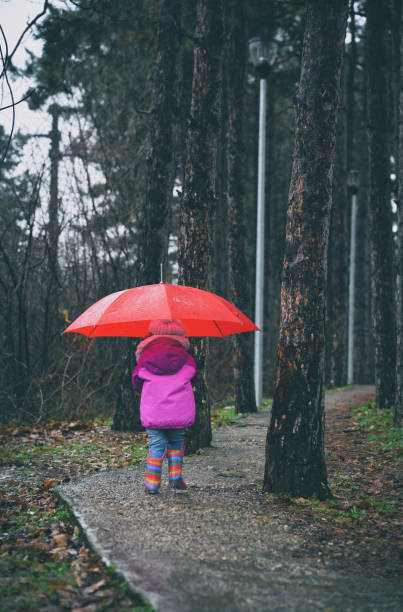 istock Little girl in the dark forest 914481656