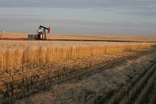 istock Methane gas supplements farm income. 91448168