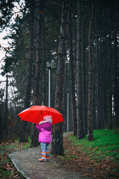 istock Little girl in the dark forest 914481860
