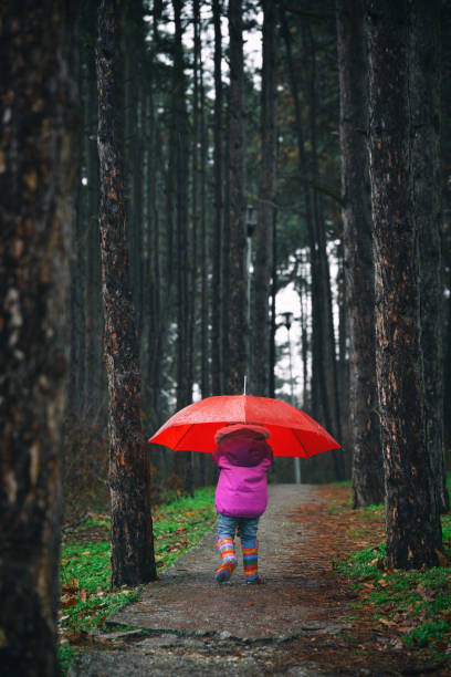 istock Little girl in the dark forest 914481866