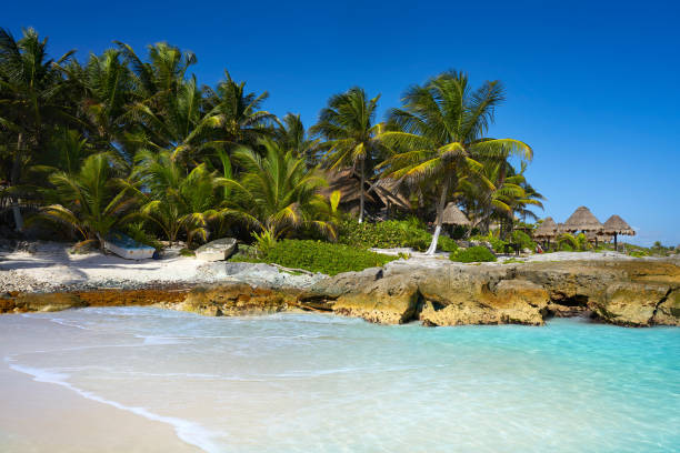 istock Tulum Caribbean beach in Riviera Maya 914485720