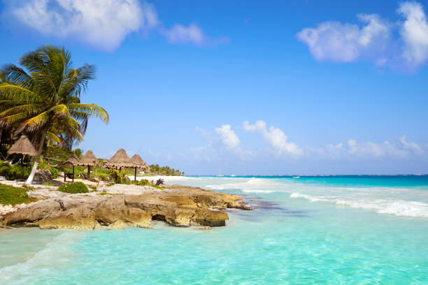 istock Tulum Caribbean beach in Riviera Maya 914485772