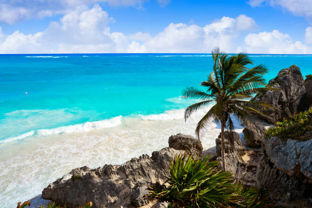 istock Tulum turquoise beach  palm tree in Riviera Maya at Mayan 914486156