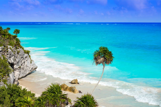 istock Tulum turquoise beach  palm tree in Riviera Maya at Mayan 914486230