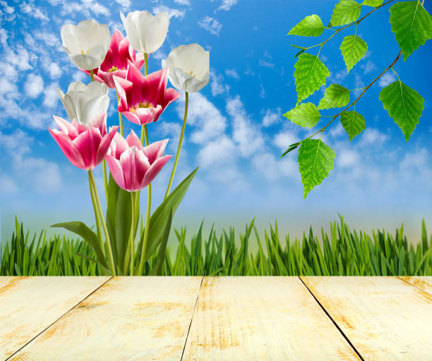 istock Wooden board on flowers  background  closeup 914486526
