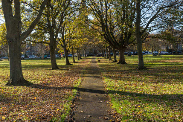 istock The Stray park in Harrogate North Yorkshire England 914486796