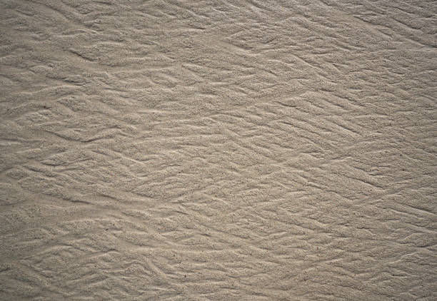 Close-up grunge silver old crumpled sheet metal wall texture background