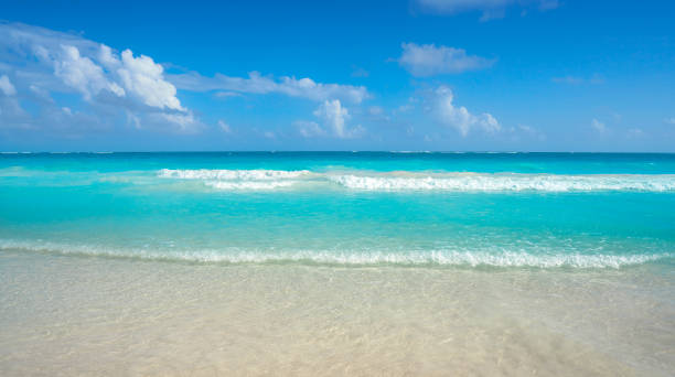 istock Caribbean turquoise beach in Riviera Maya 914487366
