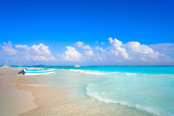 istock Tulum Caribbean beach in Riviera Maya 914487480