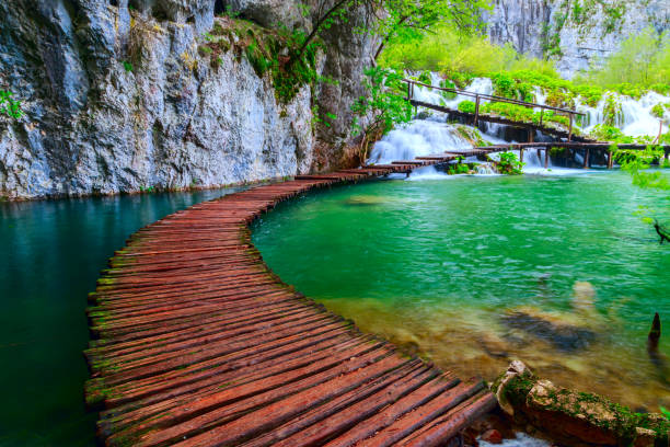 istock Wooden path in National Park in Plitvice 914487504