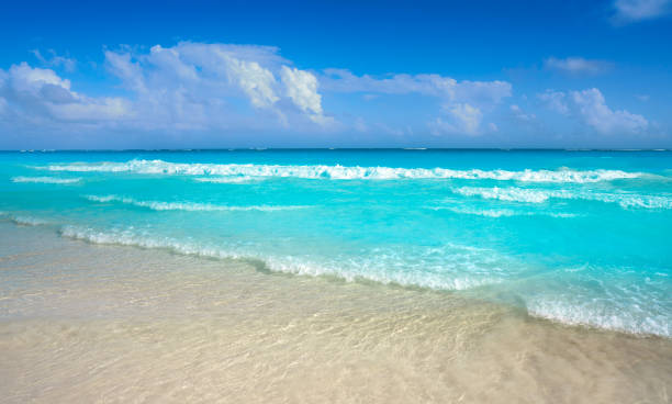 istock Tulum Caribbean beach in Riviera Maya 914487602