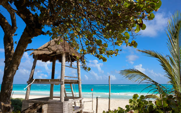 istock Tulum baywatch tower beach in Riviera Maya 914489870