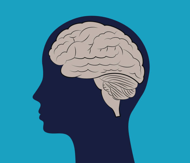 stockillustraties, clipart, cartoons en iconen met jongere blauwe profiel gezicht silhouet en hersenen platte afbeelding vectorillustratie. - neurology child