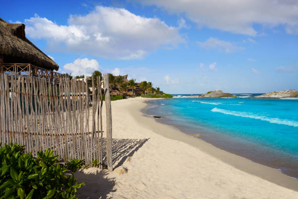istock Tulum Caribbean beach in Riviera Maya 914490546