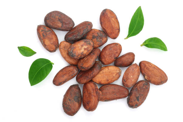 istock cocoa bean with leaf isolated on white background top view. Flat lay 914490722