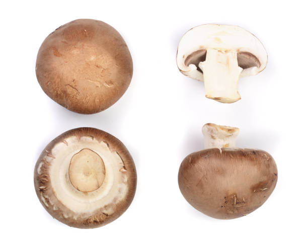 istock Fresh champignon mushrooms isolated on white background. Top view. Flat lay. Set or collection 914493940