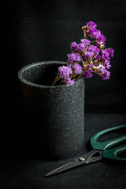 istock Dry flowers in a vase on a dark background. 914501026
