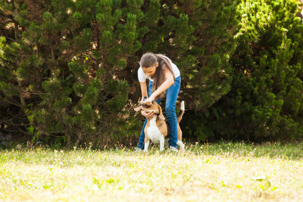 istock Girl plays with a dog in the yard 914501046