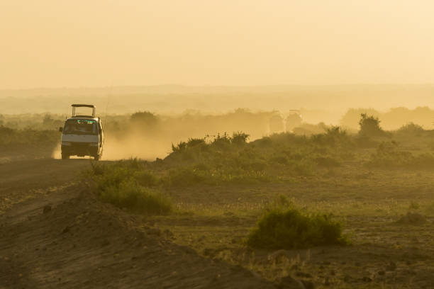 istock Amboseli National Park with dust 914504542