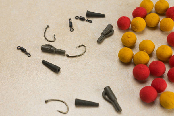 istock Baits, hooks , ledcor, prepare tackle tackle for carp fishing. Copy paste 914505026