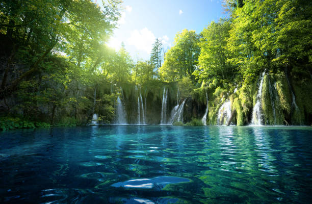 cascada en el bosque, los lagos de plitvice, croacia - sea blue lake fotografías e imágenes de stock