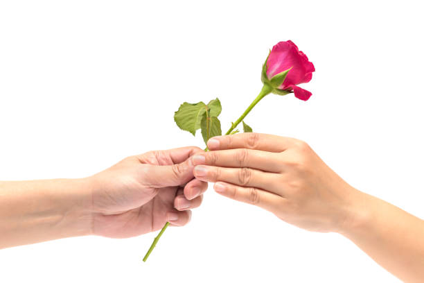 istock woman's hand is receiving a rose from man's hand 914508014