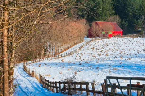 istock Country lane leading to Barn in Winter 914512842