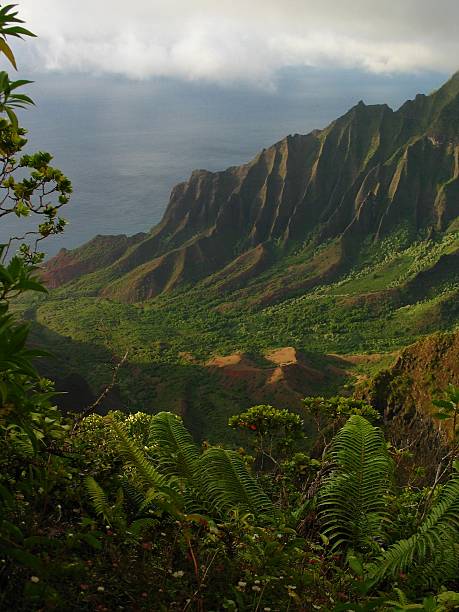 istock Kalalau Lookout 91451428