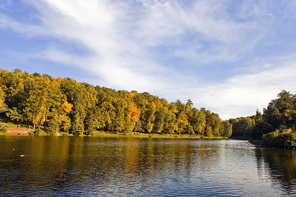 istock Autumn forest near the lake. 91451524