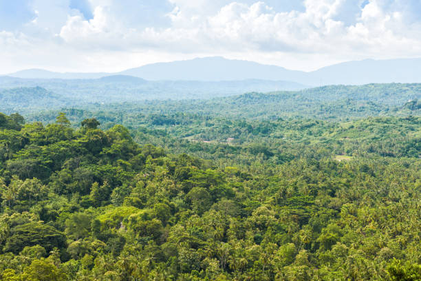 istock Landscape of Sri Lanka 914515746