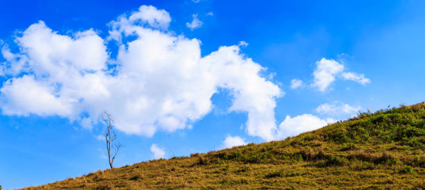 Sky blue or azure sky and bright cloud on mountain and forest