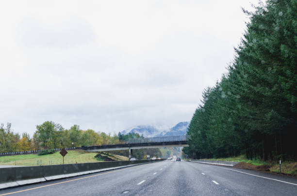 istock Driving in the pacific north west 914516468