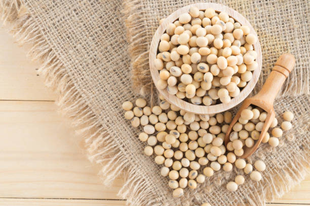 istock soybean in wood cup  on sack background 914516886