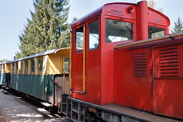 istock Narrow-Gauge Railway 91451734