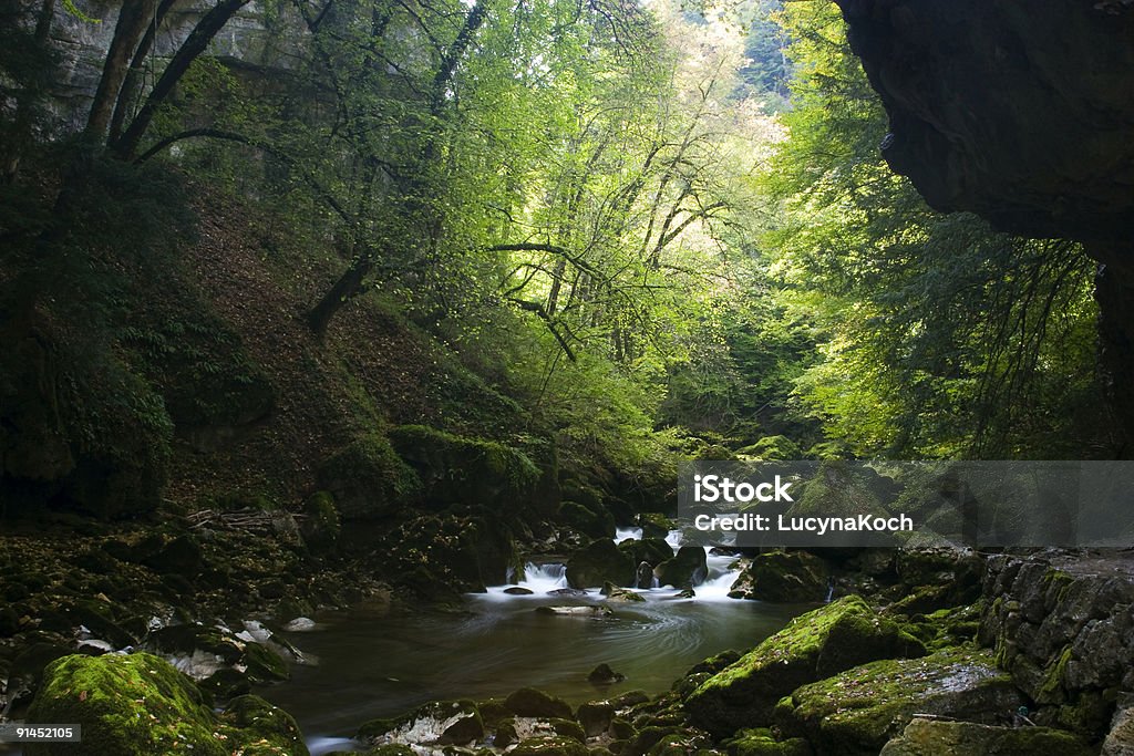 Areuse-Fluss - Lizenzfrei Bach Stock-Foto