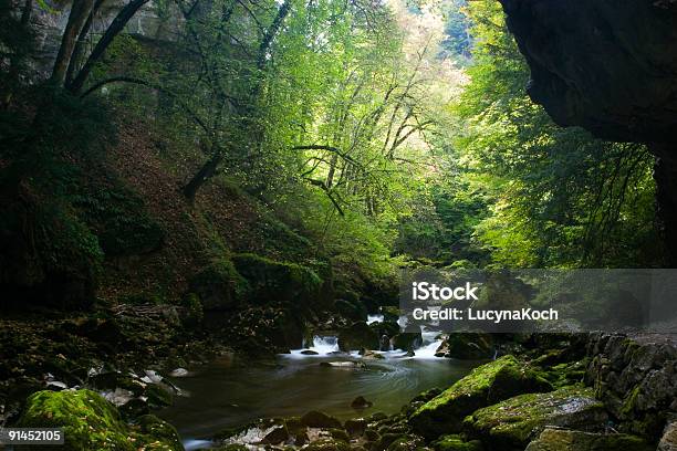 Areusefluss Stockfoto und mehr Bilder von Bach - Bach, Baum, Blatt - Pflanzenbestandteile