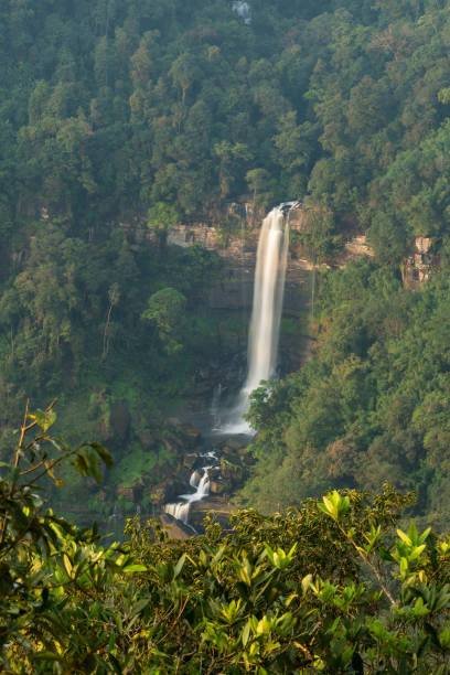 istock waterall in South Laos 914530674