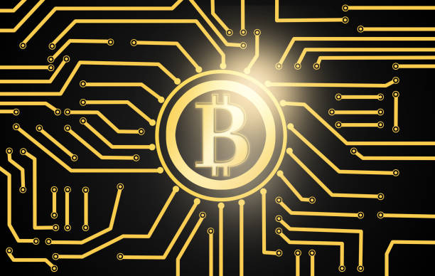 istock Golden bitcoin currency over electric circuit 914531062