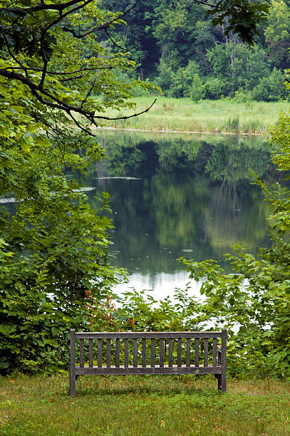 istock Park Bench by Lake in Summertime 91453193