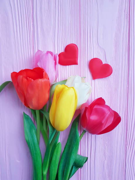 istock tulips on a pink wooden red heart 914533740