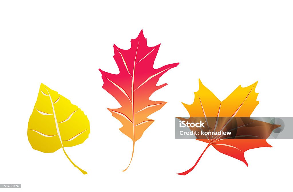 Hojas de otoño - Ilustración de stock de Arbusto libre de derechos